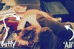 Ali  Kayn and Buffy writing for Australian Personal Computer magazine; 250x168